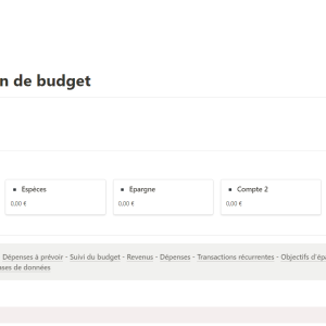 model budget notion